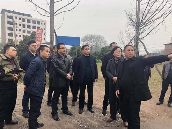 郑祖杰督导杨柳公园项目建设.jpg