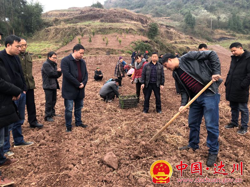 QQ图片20190308124544_副本_副本.jpg