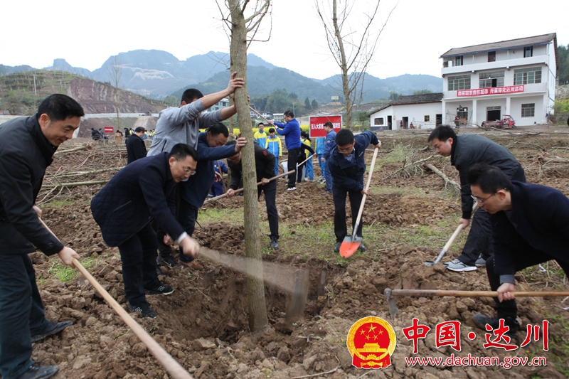 QQ图片20190323073319_副本.jpg