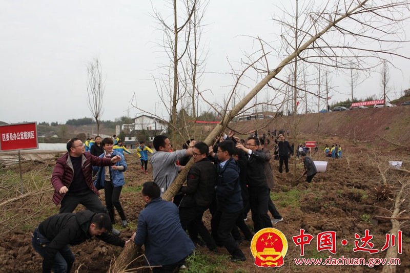 QQ图片20190323073226_副本.jpg