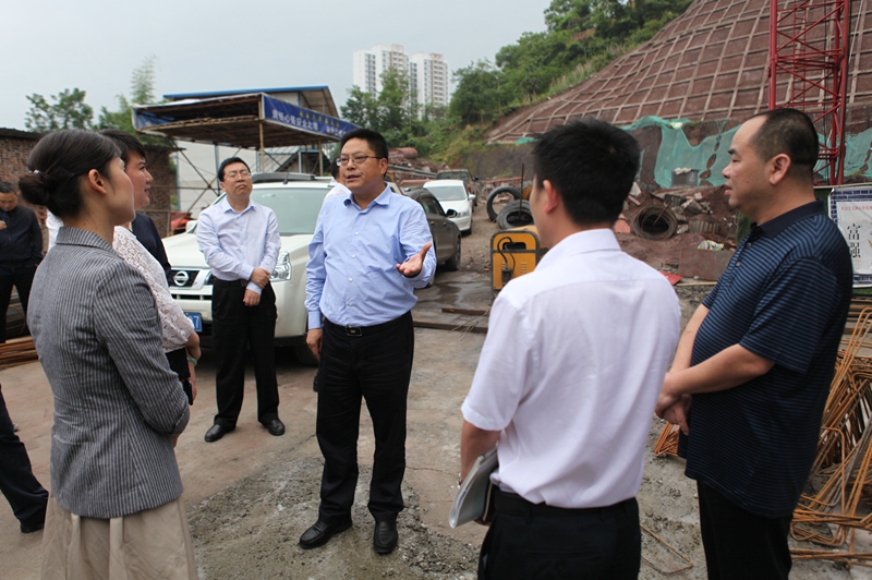 20190506向区长调研重点项目建设03_副本.jpg