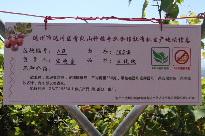 IMG_5238_副本.jpg