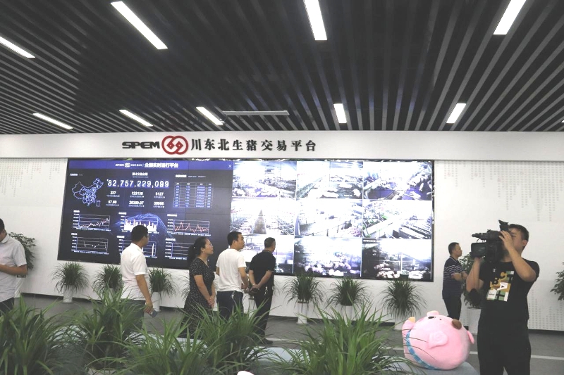 图片1_1_2.jpg