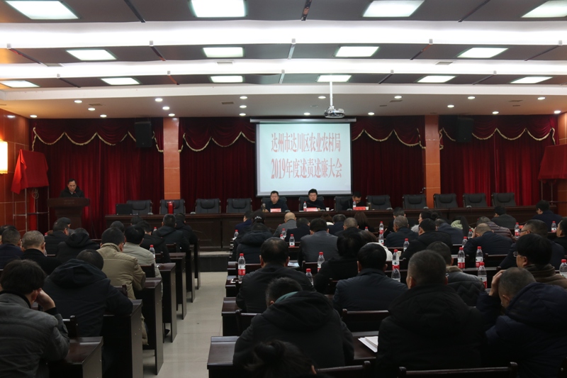 IMG_5587_2.jpg