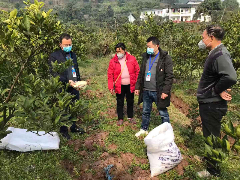 茶果站3.jpg.png