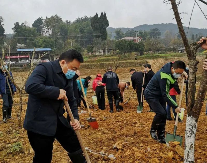 微信图片_20200317085300_副本.jpg