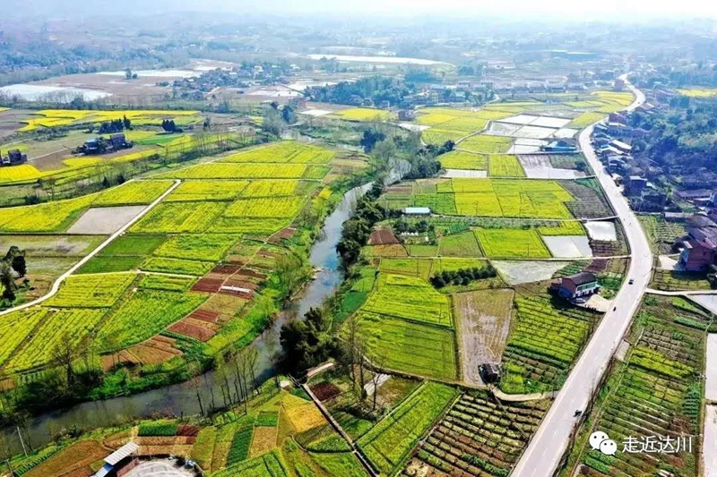 微信图片_20200714080852_副本.jpg