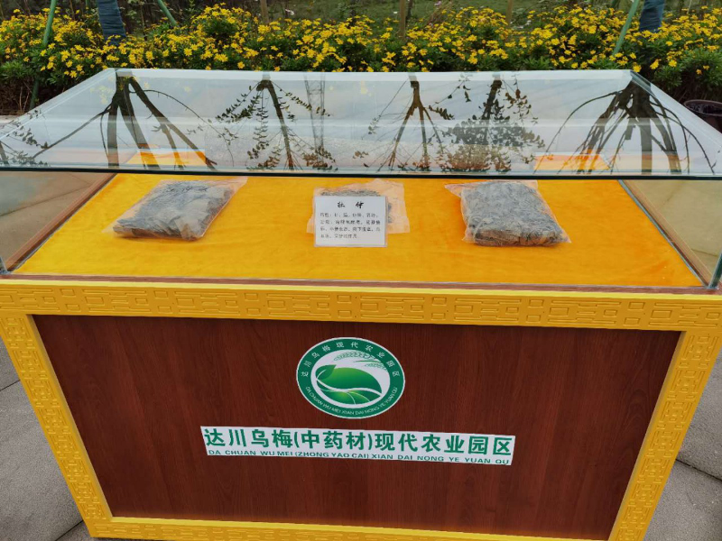 图片9.jpg.png